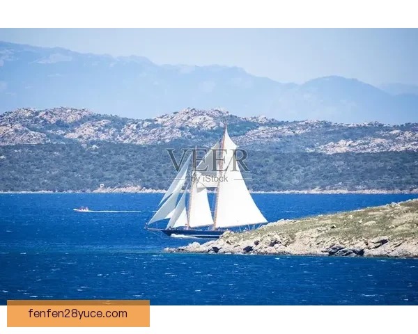 科莱池那库丁与布罗拉流浪的命运交织与战斗背后的深刻寓意