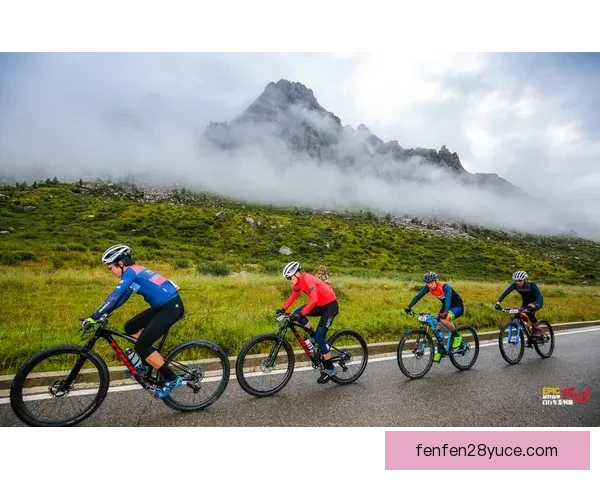 禾特路维尼6-1艾福山精彩对决全程回顾与战术解析